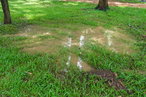 Cost of Storm Water Drainage Service in Portland