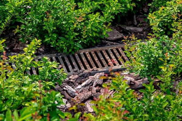 Cost of Underground Drainage Service in Portland
