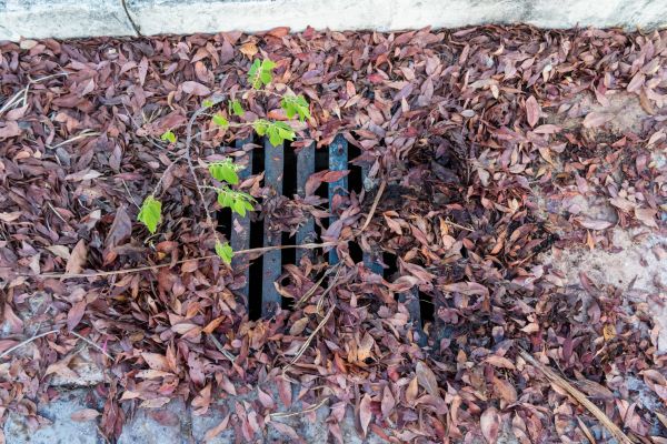 Cost of Yard Drain Unclogging in Portland