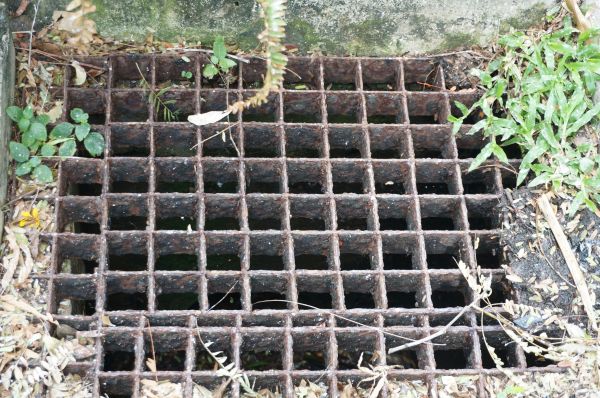 Cost of Yard Drain Cleaning in Portland