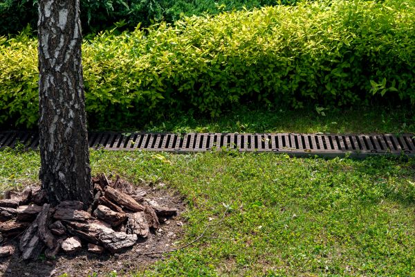 Cost of Wet Yard Drainage in Portland