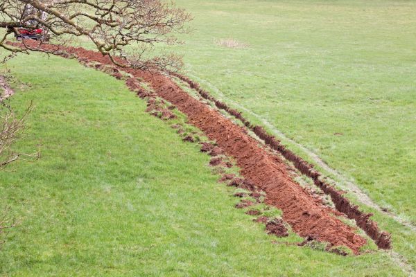 Cost of Swale Installation in Portland