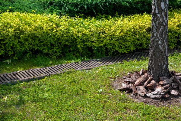 Cost of Residential Landscape Drainage in Portland