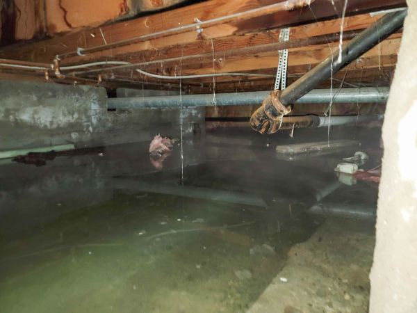 Cost of Crawlspace Drainage in Portland