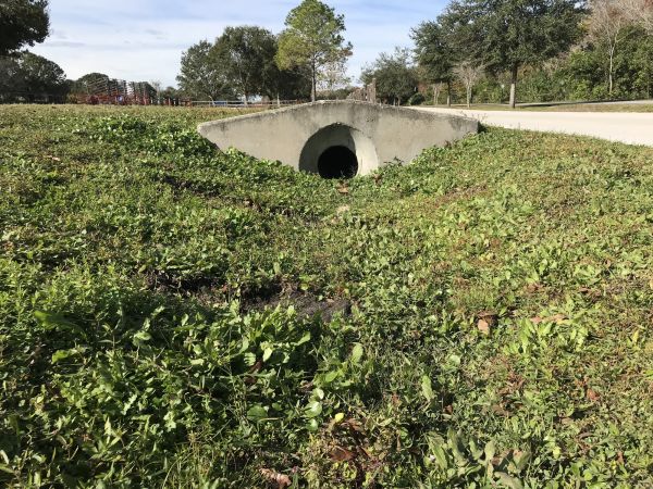 Cost of Swale Drainage Service in Portland