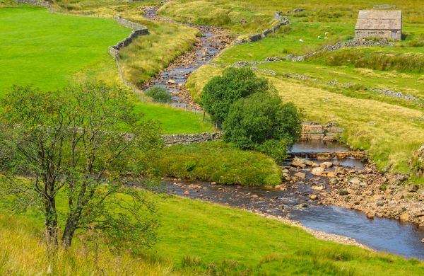 Cost of Swale Repair in Portland